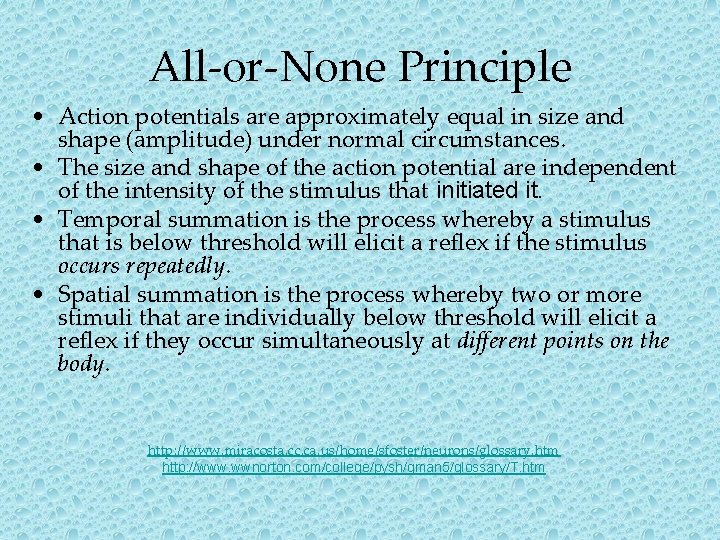 All-or-None Principle • Action potentials are approximately equal in size and shape (amplitude) under All-or-None Principle • Action potentials are approximately equal in size and shape (amplitude) under
