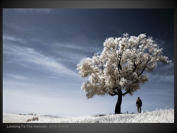 Looking To The Horizon– Be'er-Sheva 