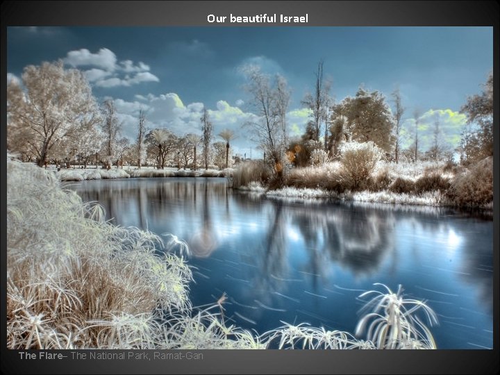 Our beautiful Israel The Flare– The National Park, Ramat-Gan 