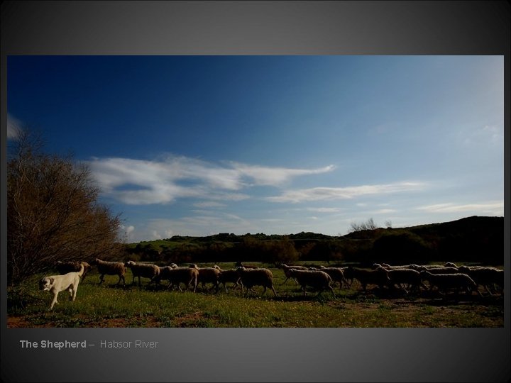 The Shepherd – Habsor River 