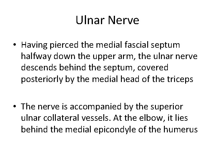 Ulnar Nerve • Having pierced the medial fascial septum halfway down the upper arm,