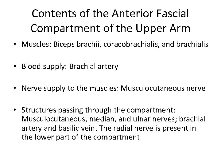 Contents of the Anterior Fascial Compartment of the Upper Arm • Muscles: Biceps brachii,