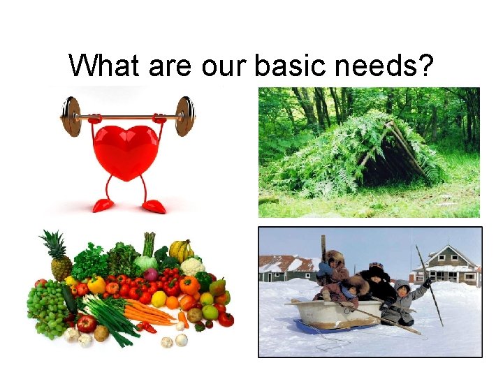 What are our basic needs? 