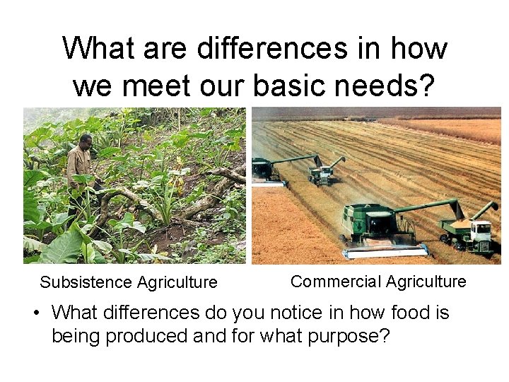 What are differences in how we meet our basic needs? Subsistence Agriculture Commercial Agriculture