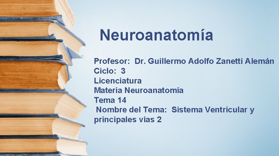 Neuroanatomía Profesor: Dr. Guillermo Adolfo Zanetti Alemán Ciclo: 3 Licenciatura Materia Neuroanatomía Tema 14