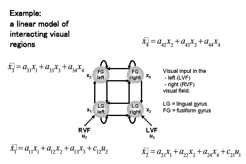 Example: a linear model of interacting visual regions x 3 FG left FG right