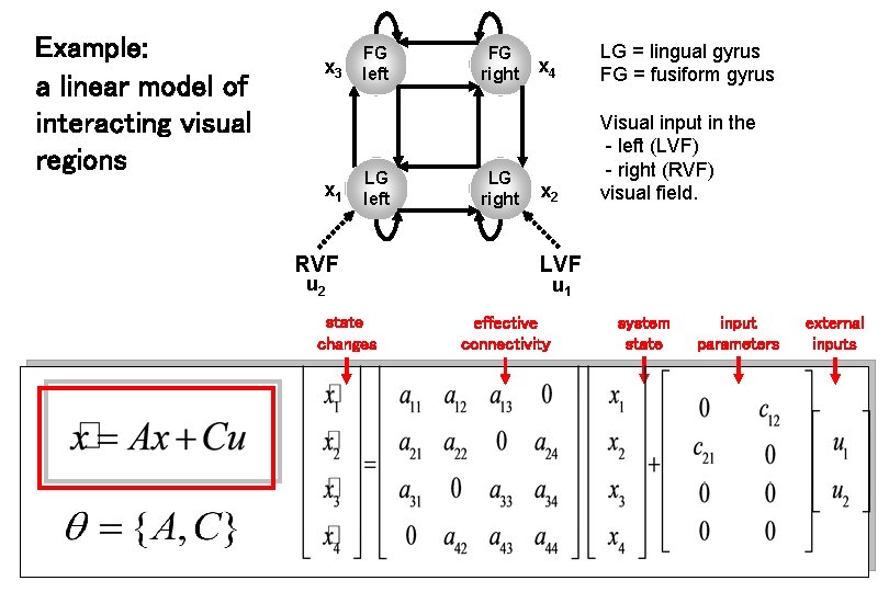 Example: a linear model of interacting visual regions x 3 x 1 FG left