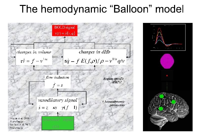 The hemodynamic model • u 6 hemodynamic parameters: stimulus functions t neural state equation
