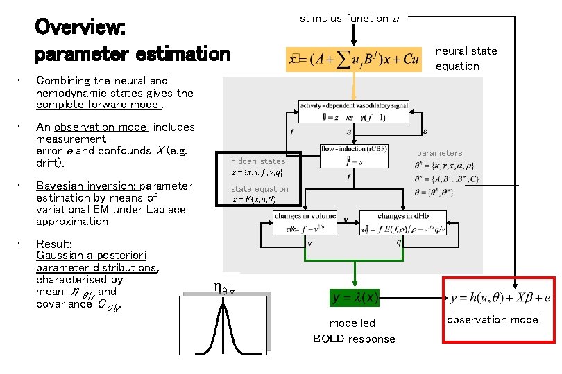 Overview: parameter estimation • Combining the neural and hemodynamic states gives the complete forward