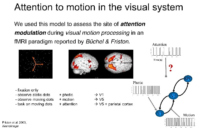 Bayesian Model Selection DCM – Attention to Motion Results Paradigm 4 conditions - fixation