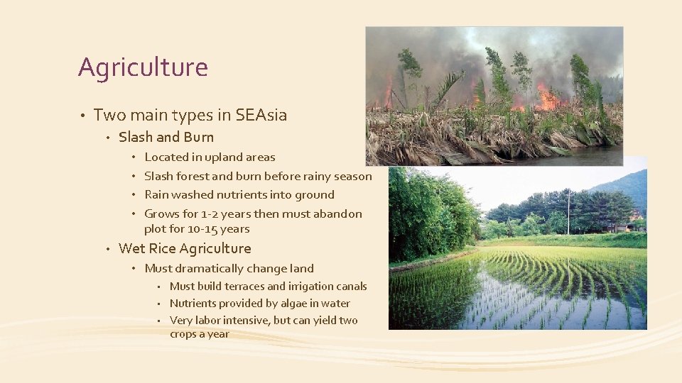 Agriculture • Two main types in SEAsia • Slash and Burn Located in upland