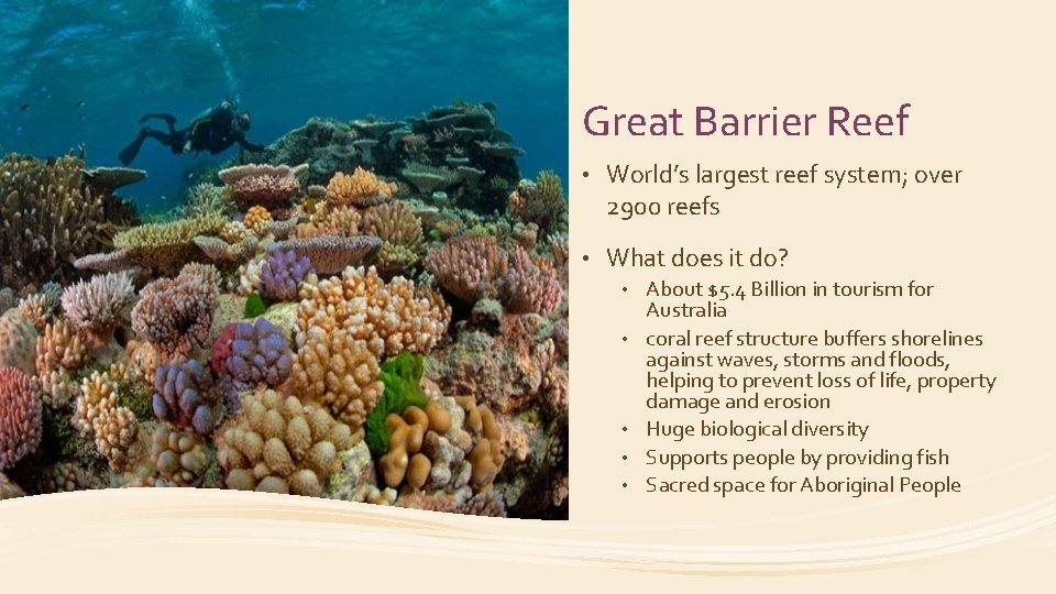 Great Barrier Reef • World’s largest reef system; over 2900 reefs • What does