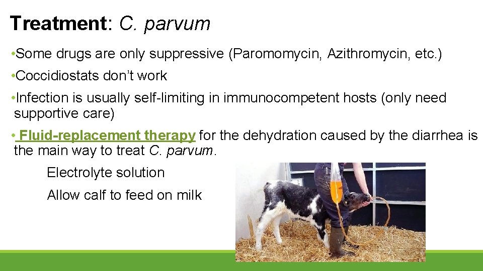 Treatment: C. parvum • Some drugs are only suppressive (Paromomycin, Azithromycin, etc. ) •