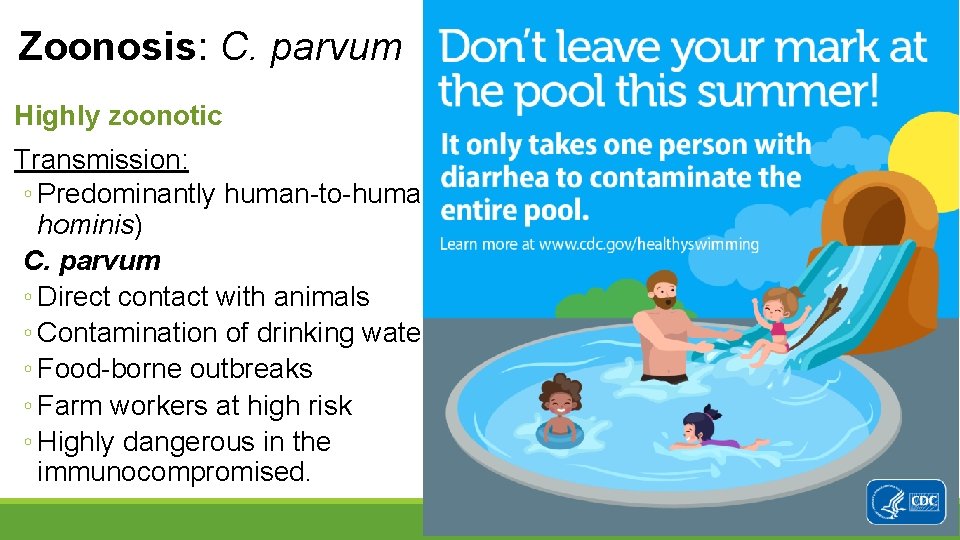 Zoonosis: C. parvum Highly zoonotic Transmission: ◦ Predominantly human-to-human (C. hominis) C. parvum ◦