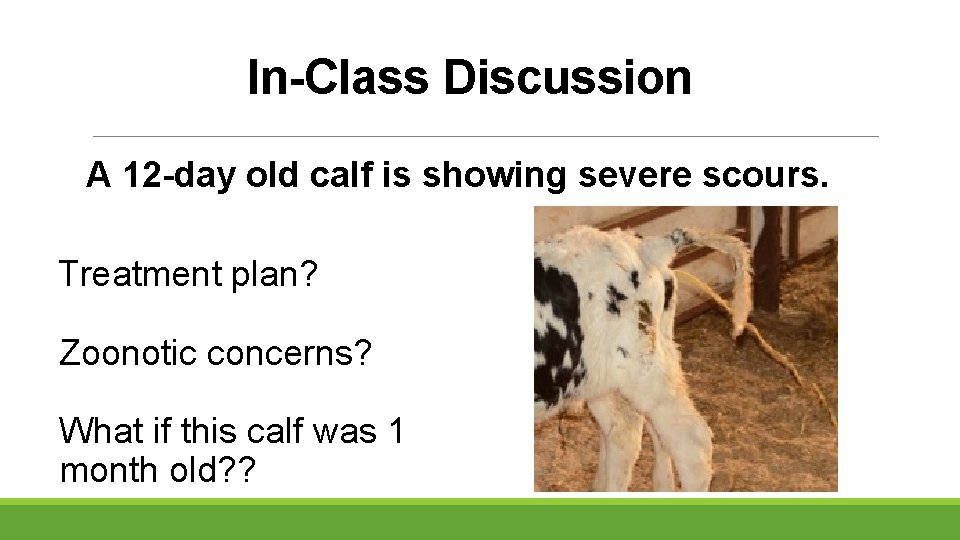 In-Class Discussion A 12 -day old calf is showing severe scours. Treatment plan? Zoonotic