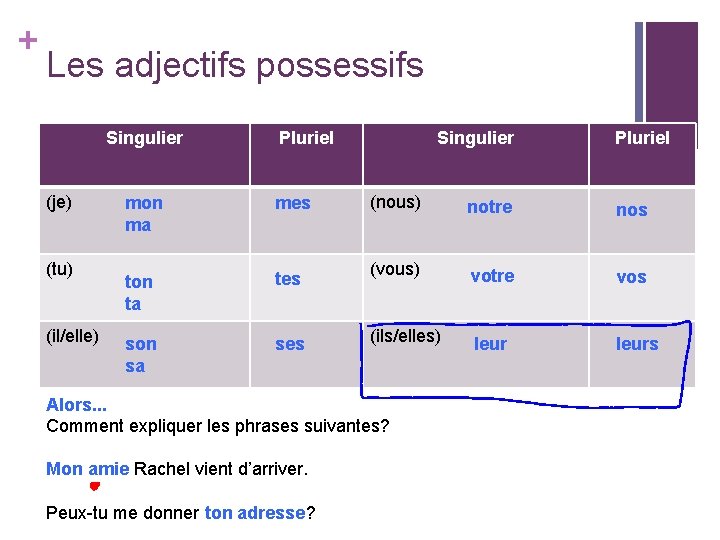 + Les adjectifs possessifs Singulier (je) (tu) (il/elle) Pluriel mon ma mes ton ta