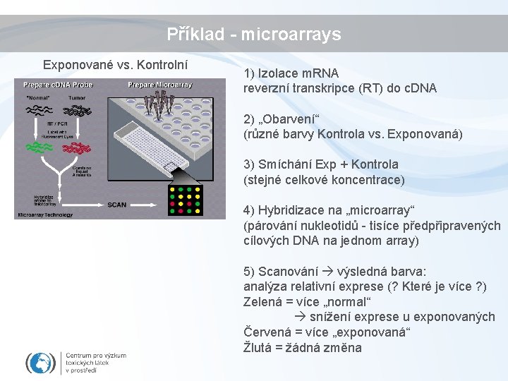 Příklad - microarrays Exponované vs. Kontrolní 1) Izolace m. RNA reverzní transkripce (RT) do