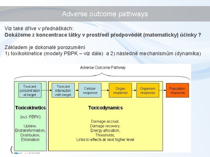 Adverse outcome pathways Viz také dříve v přednáškách: Dokážeme z koncentrace látky v prostředí