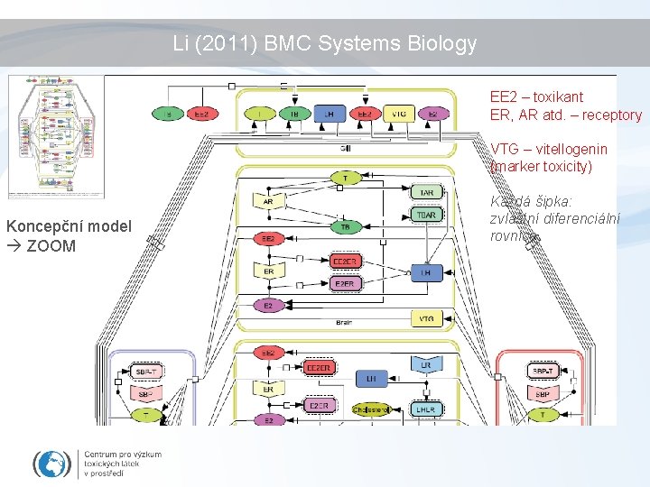Li (2011) BMC Systems Biology EE 2 – toxikant ER, AR atd. – receptory