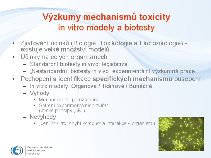 Výzkumy mechanismů toxicity in vitro modely a biotesty • Zjišťování účinků (Biologie, Toxikologie a