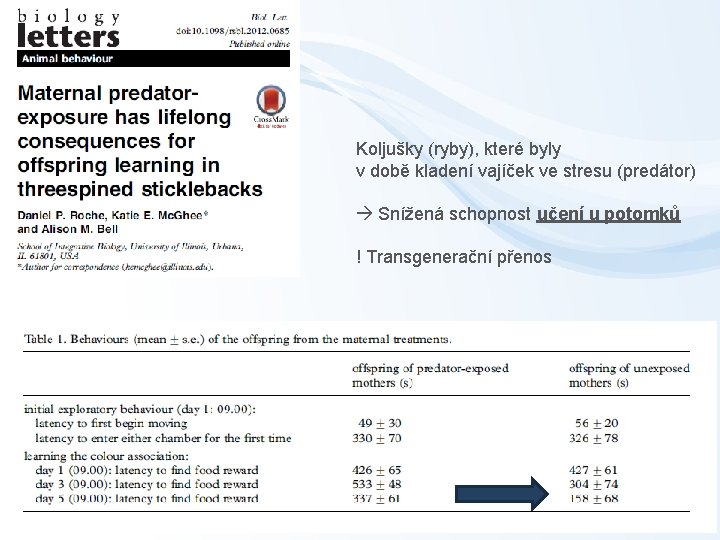 Koljušky (ryby), které byly v době kladení vajíček ve stresu (predátor) Snížená schopnost učení