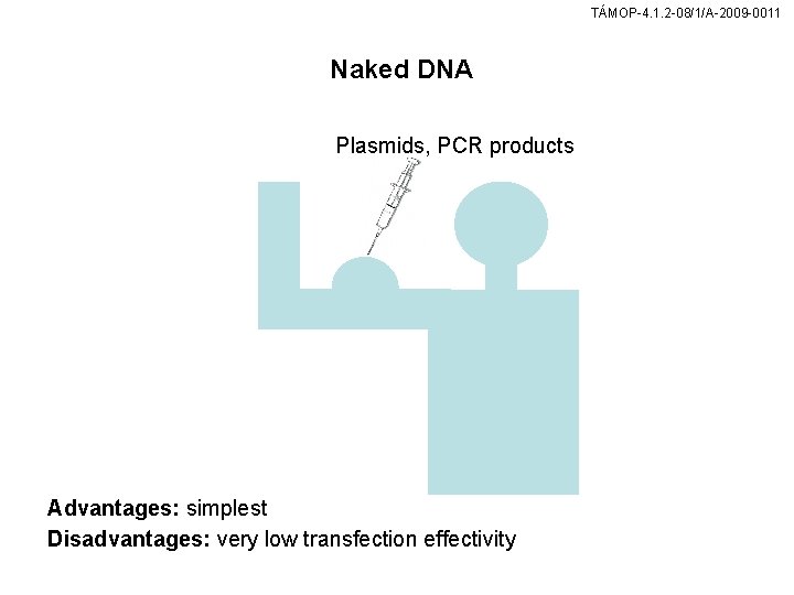 TÁMOP-4. 1. 2 -08/1/A-2009 -0011 Naked DNA Plasmids, PCR products Advantages: simplest Disadvantages: very