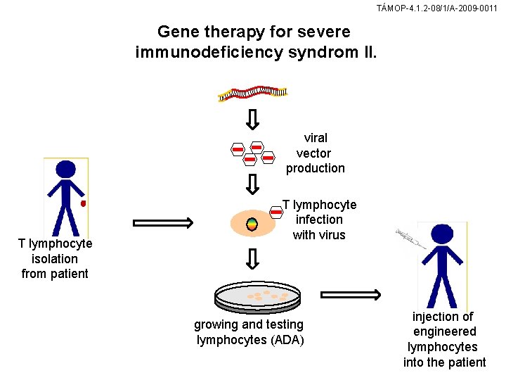 TÁMOP-4. 1. 2 -08/1/A-2009 -0011 Gene therapy for severe immunodeficiency syndrom II. viral vector