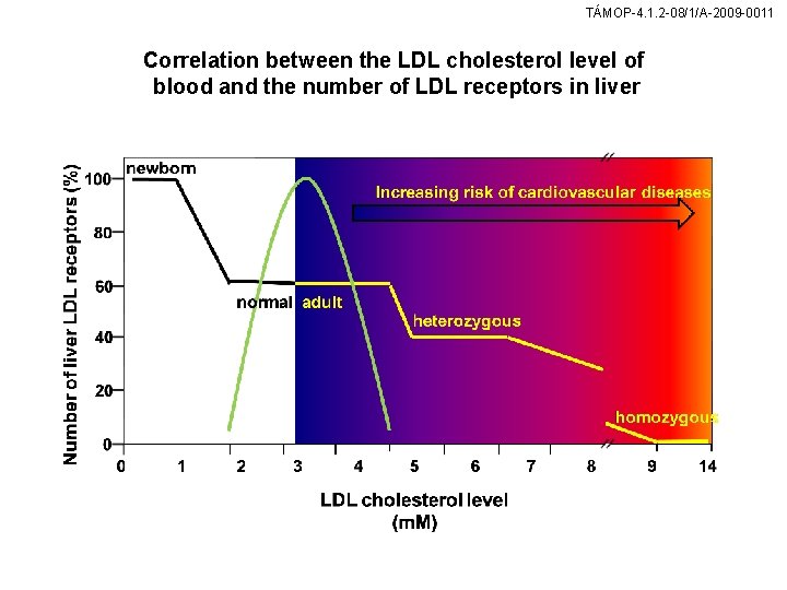 TÁMOP-4. 1. 2 -08/1/A-2009 -0011 Correlation between the LDL cholesterol level of blood and