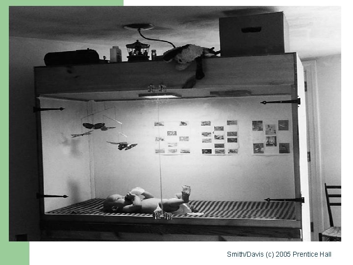 Smith/Davis (c) 2005 Prentice Hall Smith/Davis (c) 2005 Prentice Hall