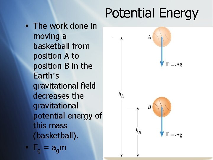 Potential Energy § The work done in moving a basketball from position A to