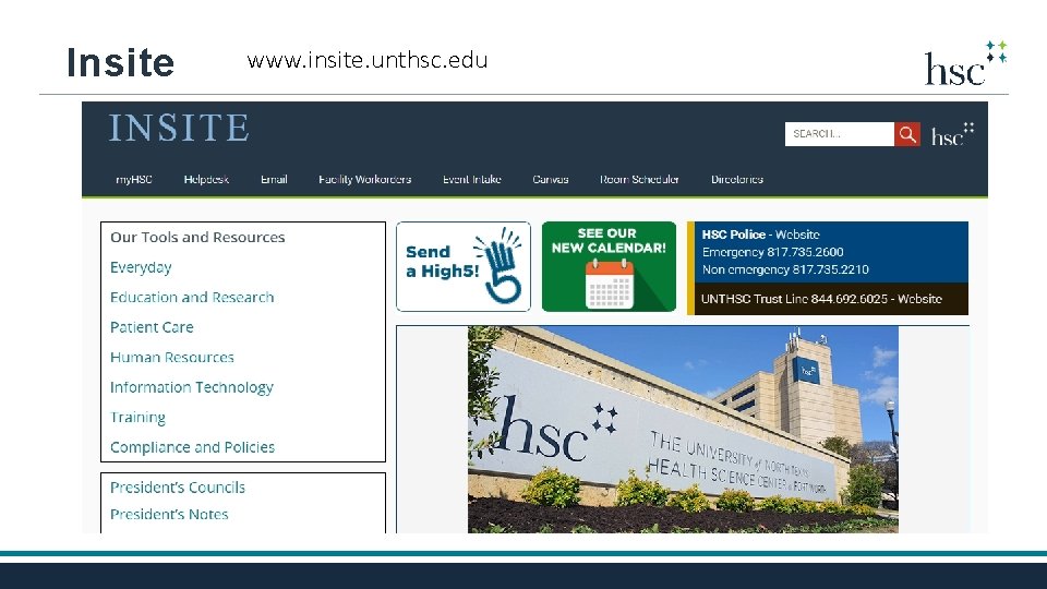 Insite www. insite. unthsc. edu 