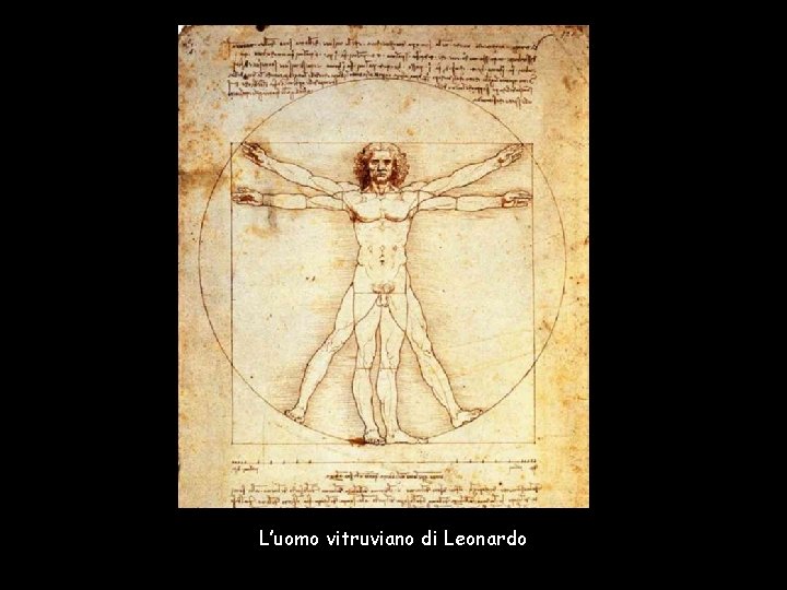 L’uomo vitruviano di Leonardo 