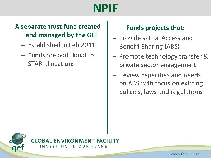 NPIF A separate trust fund created and managed by the GEF – Established in