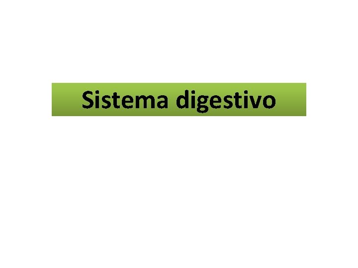 Sistema digestivo 