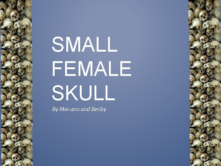 SMALL FEMALE SKULL By Meiann and Becky KEY
