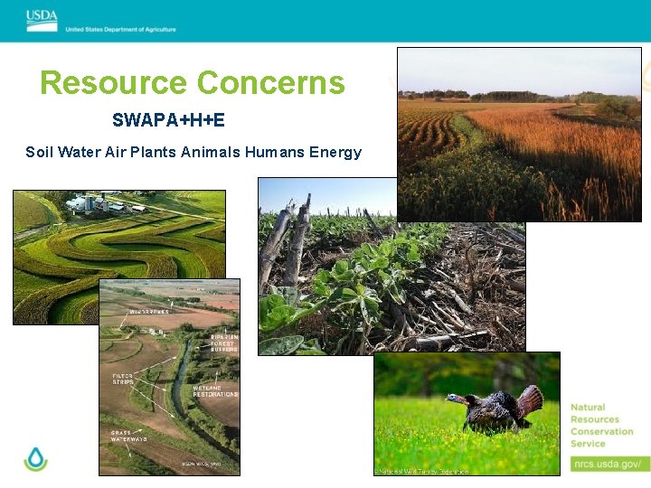 Resource Concerns SWAPA+H+E Soil Water Air Plants Animals Humans Energy 