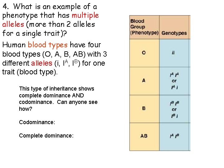4. What is an example of a phenotype that has multiple alleles (more than 4. What is an example of a phenotype that has multiple alleles (more than