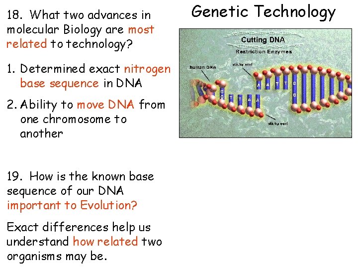 18. What two advances in molecular Biology are most related to technology? 1. Determined 18. What two advances in molecular Biology are most related to technology? 1. Determined