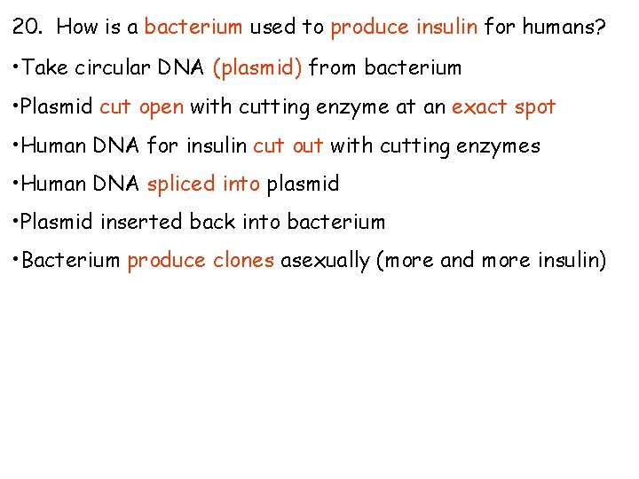 20. How is a bacterium used to produce insulin for humans? • Take circular 20. How is a bacterium used to produce insulin for humans? • Take circular