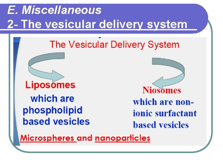 E. Miscellaneous 2 - The vesicular delivery system 