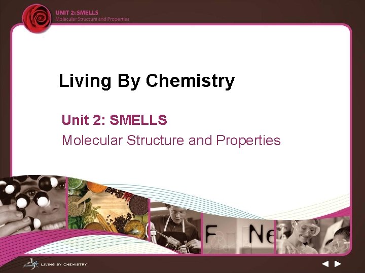 Living By Chemistry Unit 2: SMELLS Molecular Structure and Properties 