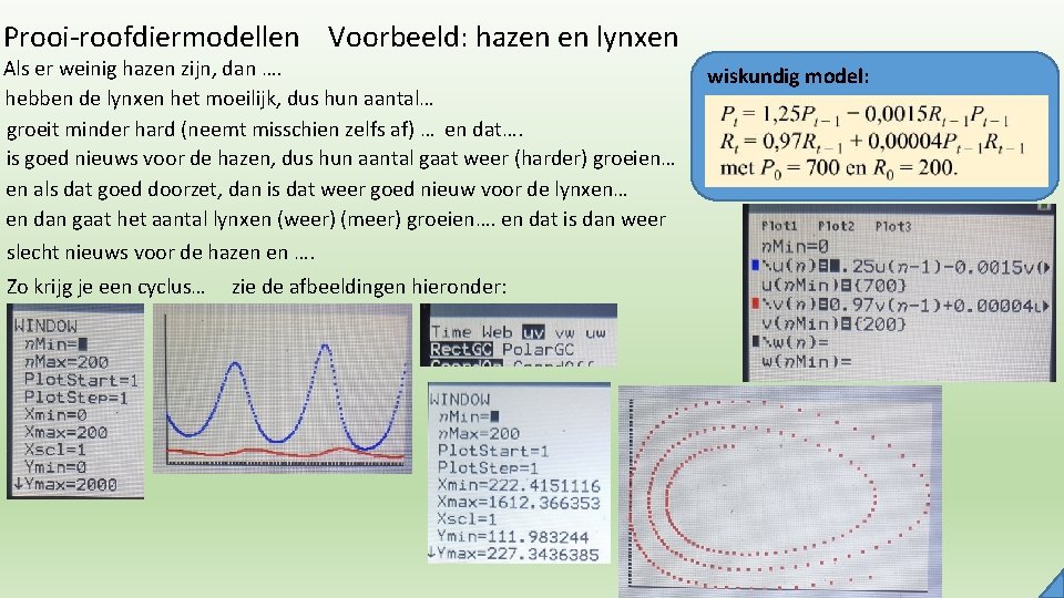 Prooi-roofdiermodellen Voorbeeld: hazen en lynxen Als er weinig hazen zijn, dan …. hebben de