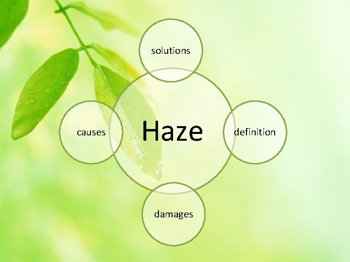 solutions causes Haze damages definition 