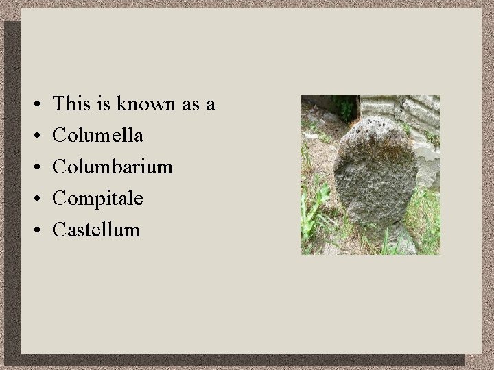  • • • This is known as a Columella Columbarium Compitale Castellum 