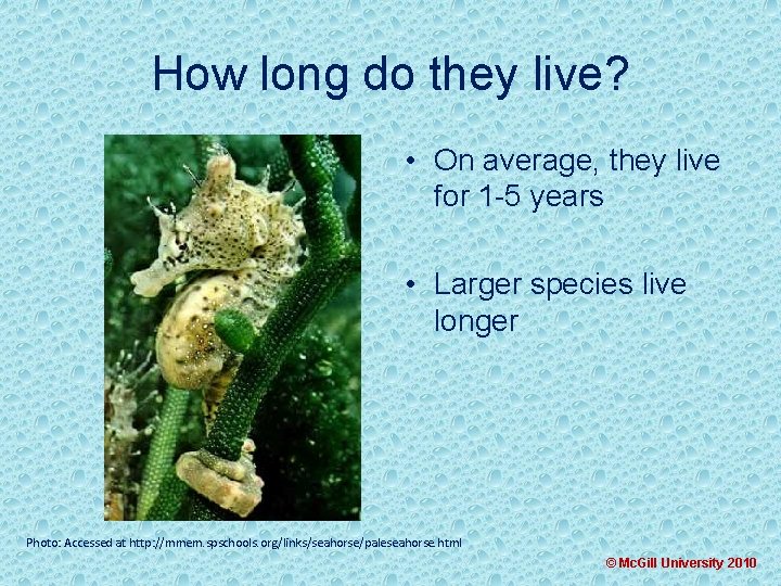 How long do they live? • On average, they live for 1 -5 years