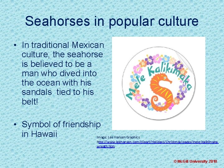Seahorses in popular culture • In traditional Mexican culture, the seahorse is believed to