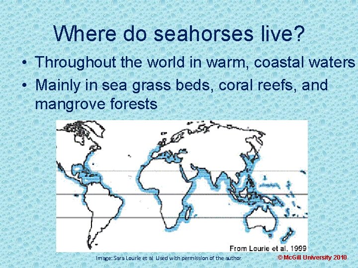 Where do seahorses live? • Throughout the world in warm, coastal waters • Mainly