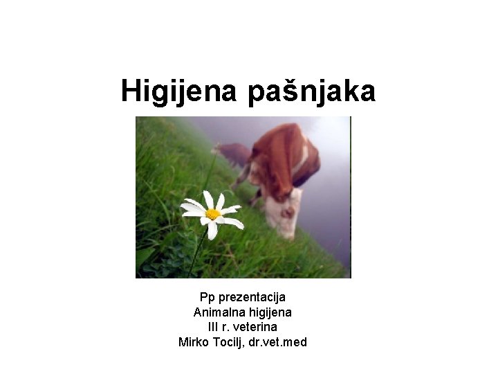 Higijena pašnjaka Pp prezentacija Animalna higijena III r. veterina Mirko Tocilj, dr. vet. med