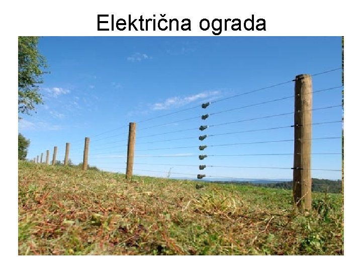 Električna ograda 