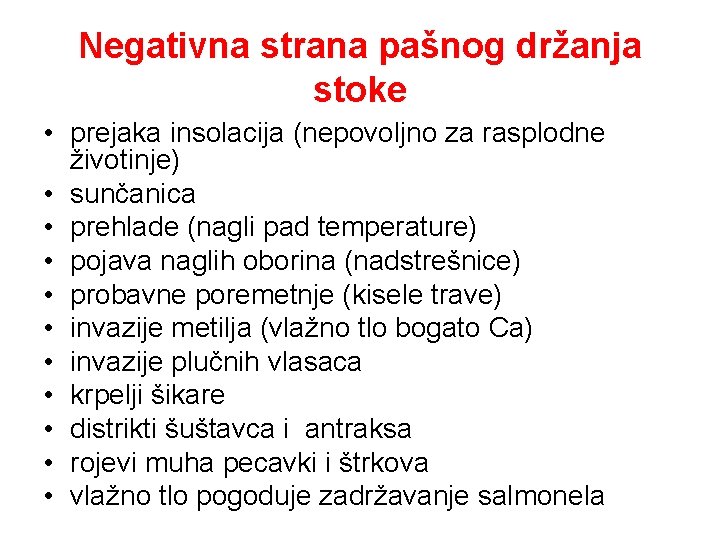 Negativna strana pašnog držanja stoke • prejaka insolacija (nepovoljno za rasplodne životinje) • sunčanica